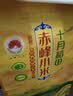 十月稻田 赤峰小米 5斤 内蒙古敖汉 小米黄小米 杂粮米 早餐小米粥 中秋 实拍图
