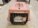 喵先生【带挂碗+垫板】宠物航空箱大号狗猫托运箱猫咪狗狗航空箱运输箱 一号 建议12斤以内 实拍图
