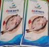 仙泉湖三去白蕉海鲈鱼1斤/条净膛刺少肉厚珠海特产500g海鲜水产生鲜食材 实拍图