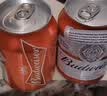 百威mini红罐淡色拉格255ml*12罐整箱装京东自营国庆出行 实拍图