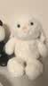 名创优品（MINISO）塔妮兔小兔子玩偶可爱小号白色毛绒公仔陪睡礼物送女友道歉次日达 实拍图