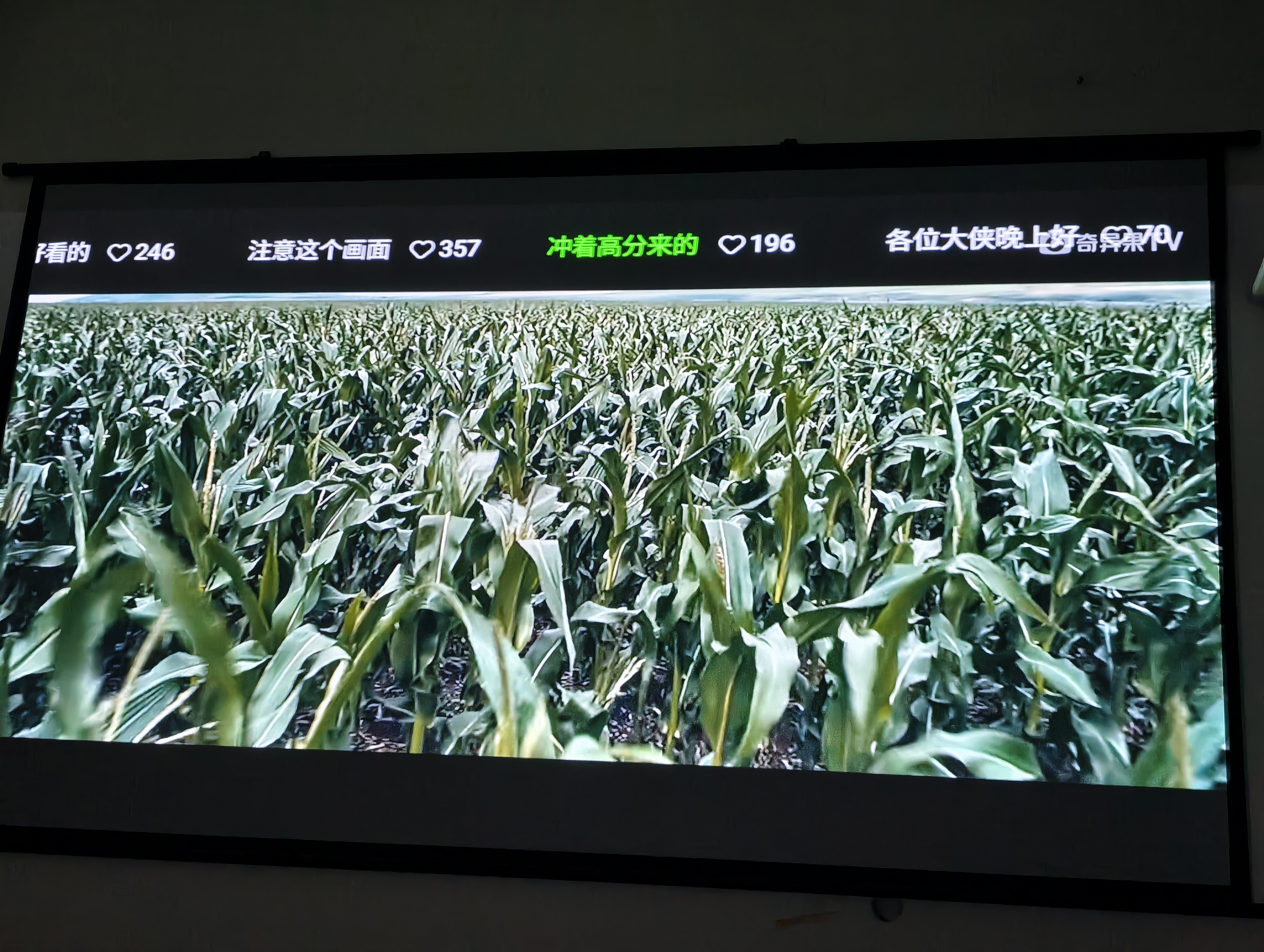 明基（BenQ）新品i800投影仪家用 4K超清高亮 全智能家庭影院客厅（3000流明 自动校正 HDR Pro MEMC） 实拍图