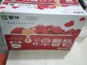 蒙牛早餐风味奶红枣味牛奶 250ml*16盒 送礼礼盒 实拍图