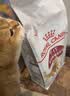 皇家猫粮 成猫猫粮 营养均衡 F32 通用粮 1-7岁 4.5KG【宠物金选】 实拍图