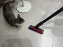 戴森（DYSON） V8 Cyclone 无绳吸尘器 手持无线吸尘器 除螨 宠物 家庭适用 实拍图