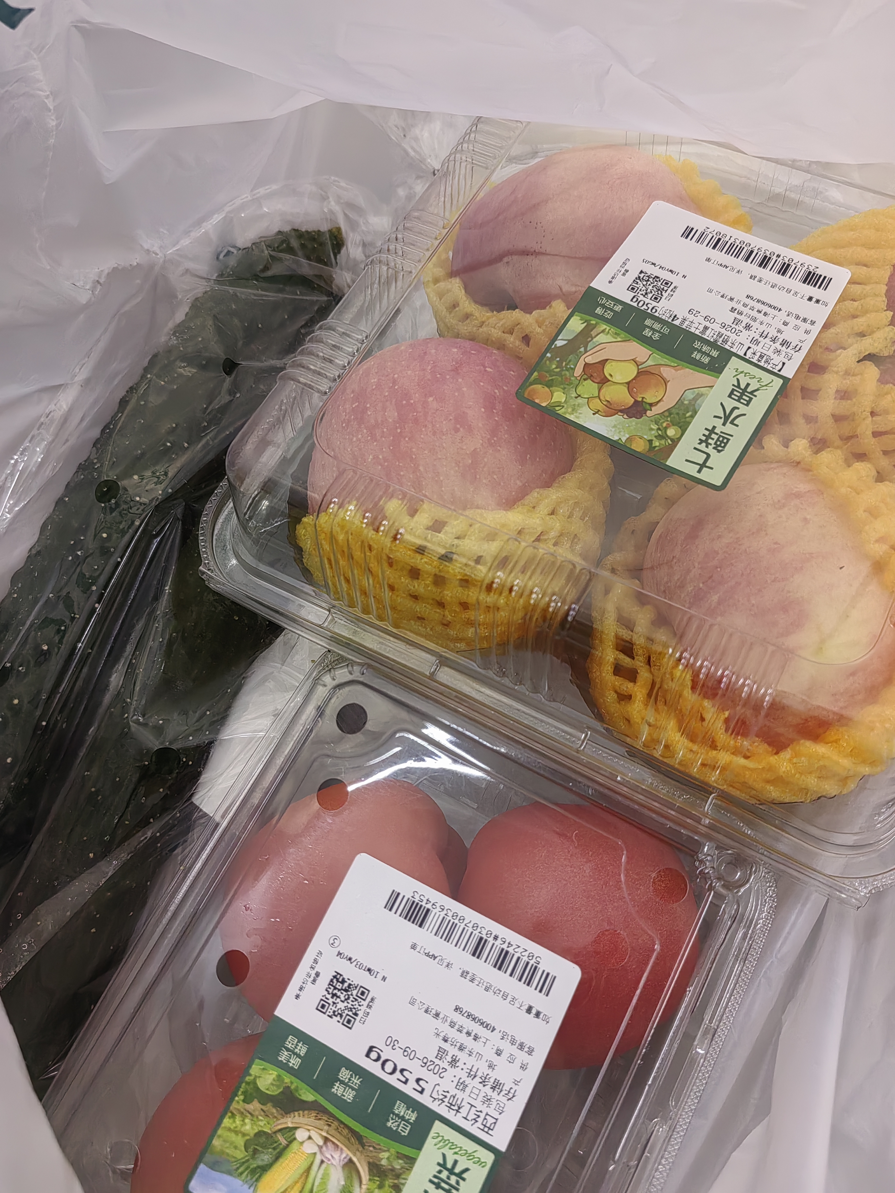 西红柿约550g 实拍图