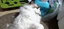 憨憨乐园猫玩具猫咪丰容玩具自嗨解闷神器小猫逗猫迷宫盒子掏掏乐掏洞用品 实拍图