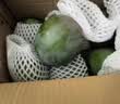 京鲜生攀枝花凯特芒净重8斤 单果400g＋ 新鲜水果 源头直发包邮 实拍图