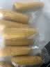 京鲜生东北黄糯玉米300g*8棒 甜黏玉米低脂早餐代餐粗粮真空装 源头直发 实拍图