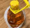 鲁花 【保真菜籽油】食用油 低芥酸特香菜籽油 6.18L   物理压榨 实拍图