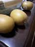 佳沛（zespri）新西兰金奇异果10个装单果重103-114g猕猴桃水果礼盒 实拍图