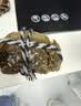 【活蟹】湖鲜阳澄 大闸蟹 去绳足重 全母蟹2.0-2.3两 8只 鲜活超大螃蟹生鲜中秋礼盒装 实拍图