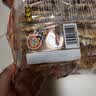 米老头 蛋黄煎饼原味150g鸡蛋煎饼休闲零食小包装饼干 实拍图