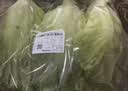 罗马生菜约500g 实拍图