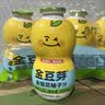 金豆芽儿童金银花柚子汁155ml*16瓶便携孩子饮料宝宝果汁西柚汁 实拍图