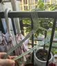 衣架成人加粗防滑加厚学生宿舍无痕挂衣架家用衣服晾衣架撑子衣挂 40cm凹槽（四季款） 20支装（颜色随机） 实拍图