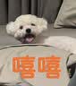 凡客诚品（VANCL）纯棉长袖T恤男春秋季圆领内搭衣服休闲宽松透气打底衫 白色 4XL 实拍图