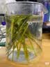 徽六绿茶太平猴魁茶叶礼盒120g 2026新茶徽味特级捏尖 送长辈领导礼品 实拍图