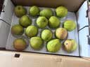 趣尝鲜【绿色认证】新疆库尔勒香梨 净重8斤 特级单果120g+ 源头直发 实拍图