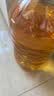 金龙鱼 食用油 非转基因 物理压榨玉米油6.18L（蕴含植物甾醇） 实拍图
