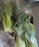 上海青约500g(油菜) 实拍图