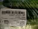 【水果菜】东北旱黄瓜约550g 实拍图