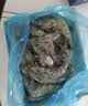 鲜京采 鲜冻大号黑虎虾 去冰净重2斤 31-40只/盒 美食大赛同款 中秋 实拍图