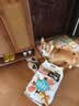 比乐三文鱼鱼油成幼犬全价狗粮15kg【囤货装】 实拍图