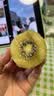 佳沛（zespri）新西兰金奇异果12粒特大果124-146g猕猴桃水果礼盒 实拍图