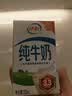 伊利【新鲜日期】纯牛奶250ml*21盒 3.3g优质乳蛋白早餐奶8-10月产 实拍图
