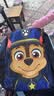 汪汪队立大功（PAW PATROL）幼儿园书包3-6周岁宝宝书包超轻透气大班小班大容量背包双肩包 实拍图