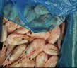 美加佳头籽熟冻北极甜虾净重3斤 规格80/100 头籽率50% 熟冻火锅聚餐 实拍图