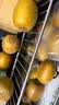 佳沛（zespri）新西兰金奇异果30-33粒原箱103-124g猕猴桃水果礼盒 实拍图