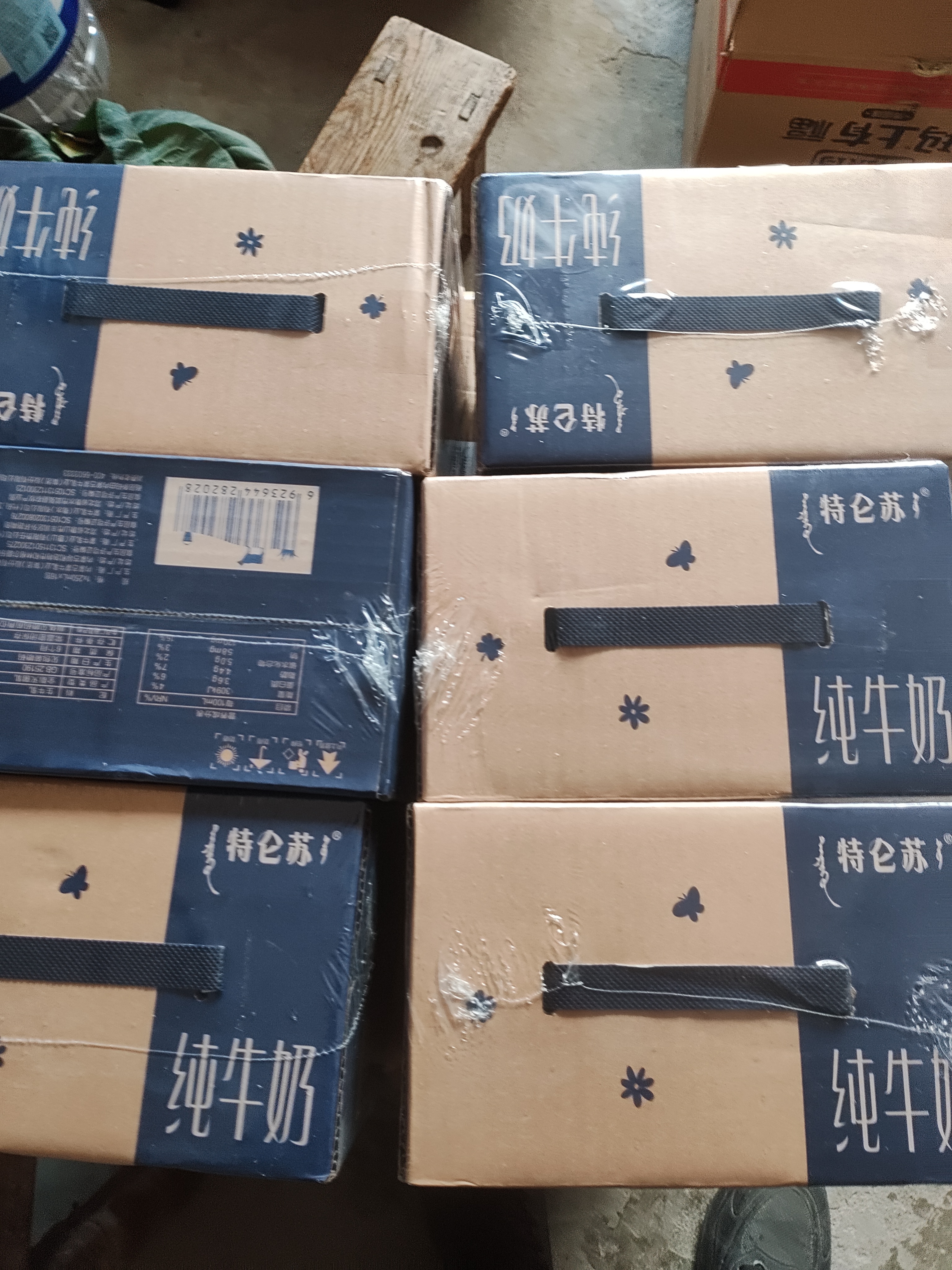 蒙牛【新鲜日期】特仑苏纯牛奶250ml*16盒 3.6g蛋白 礼盒 实拍图