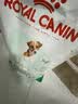 皇家狗粮成犬狗粮 犬粮 宠物小型犬PR27全价犬粮 ≥10月800g 实拍图