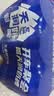 天润奶啤乳酸菌风味牛奶饮品新疆特产300ml*6罐 实拍图