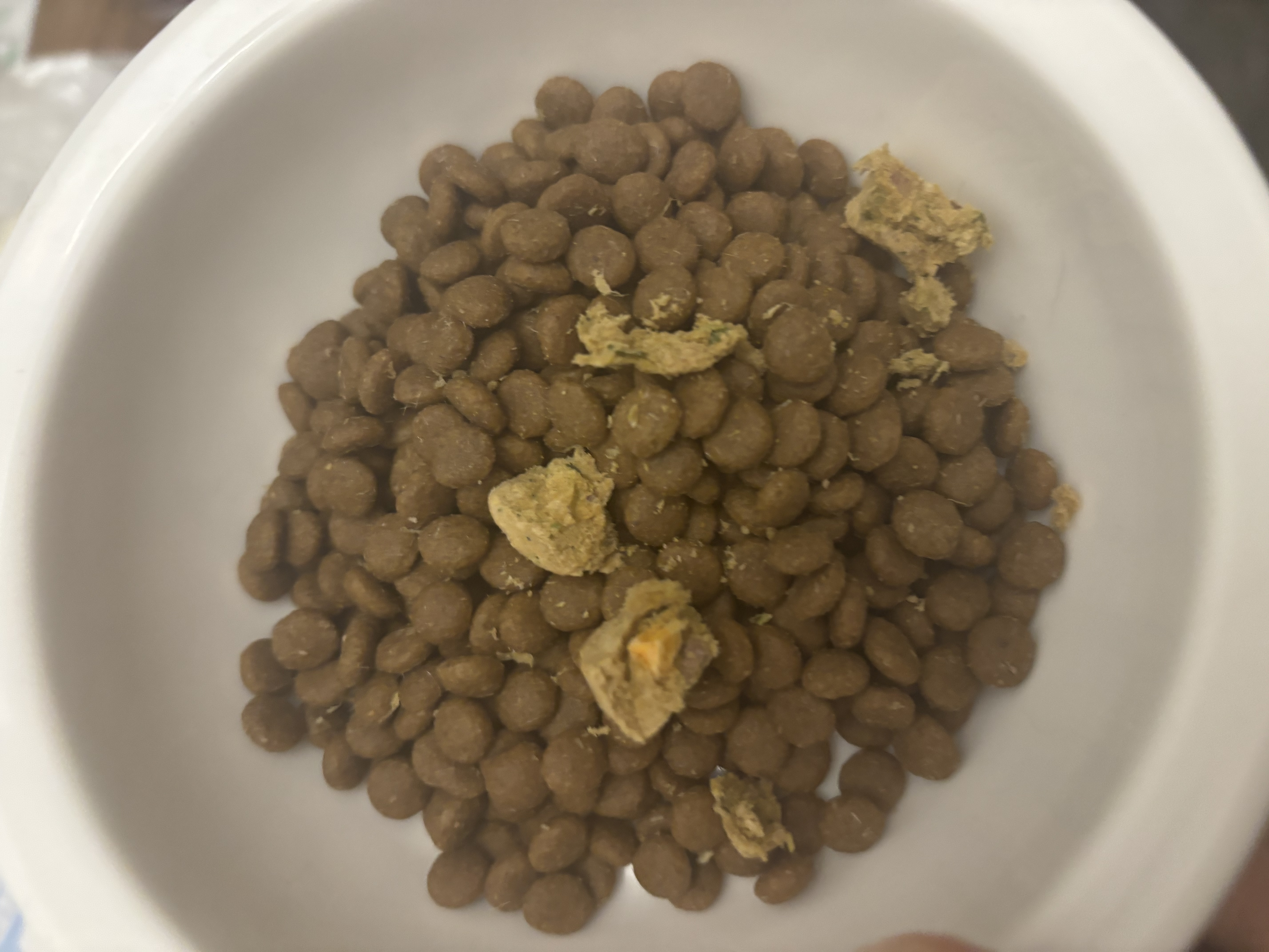 顽皮小金盾狗粮100%鲜肉中小型犬冻干鸭肉梨Pro犬粮 1.8kg*4 宠物金选 实拍图