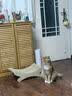 喵先生宠物航空箱大号猫咪拉杆箱狗狗托运猫笼外出箱便携笼子国航标准 青雾浅绿 2号 建议30斤内宠物 全系配【拉杆+垫板+挂碗+万向轮】 新国航标准【全航司可通用托运】 实拍图