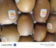 佳沛（zespri）金奇异果25-27粒原箱特大果124-146g猕猴桃水果礼盒 实拍图