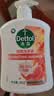 滴露（Dettol）洗手液柑橘500g瓶 健康抑菌消毒清爽 儿童家庭非补充装替换 实拍图