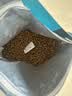 鲜朗低温烘焙猫粮无谷全阶段通用型鲜郎营养高蛋白鸡肉全价猫粮囤货装 烘焙猫粮2kg*4【囤货装】 实拍图