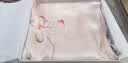 上海故事【升级加密30%】桑蚕丝真丝丝巾空调披肩礼盒送妈妈礼物国庆节 实拍图