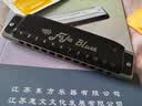 东方鼎（EAST TOP）EASTTOP 蓝调12孔FALA布鲁斯金属琴格口琴黑色F1201S 实拍图