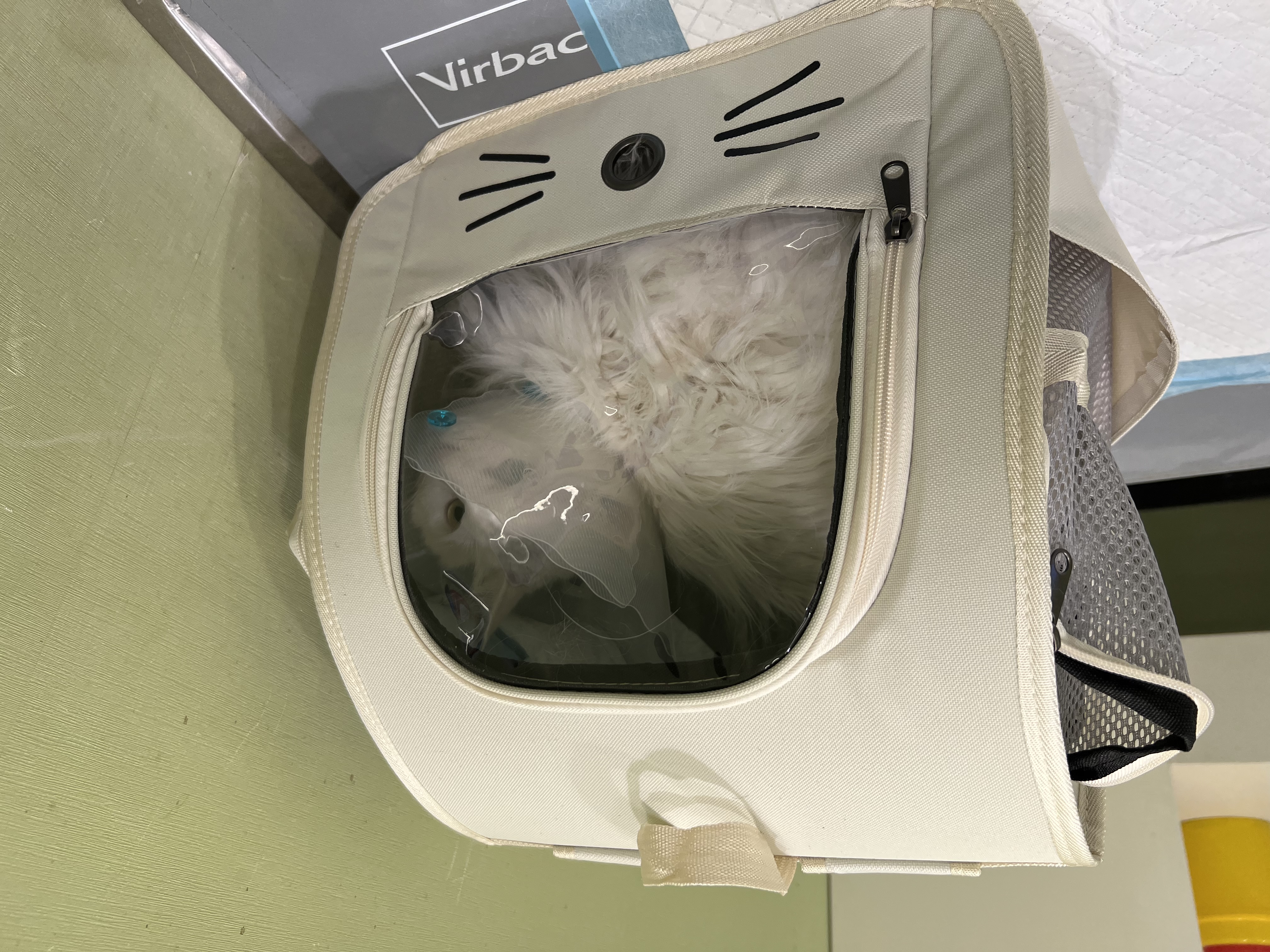 甜浪海猫包外出便携包双肩背包猫咪太空包狗包手提宠物包航空箱米白色 实拍图