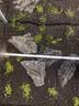 YEE鱼缸金晶超白金鱼裸缸8060家用客厅桌面小草缸龟缸玻璃生态溪流缸 40*23*25*5mm裸缸 实拍图
