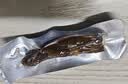 三只松鼠0添加风干牛肉干500g箱装原味内蒙手撕牛肉干肉脯国庆团购送礼 实拍图