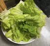【烧烤季】钟灵山罗马生菜400g 实拍图