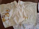 棉奇熊男童内裤儿童棉a类平角裤小男孩四角短裤小童长绒棉男宝宝中大童 实拍图