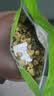 艺福堂花草茶 菊花茶头采胎菊250g 无硫熏杭白菊花蕾泡水清凉养生茶 实拍图