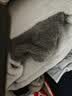 猫人秋冬款男士睡衣男珊瑚绒保暖睡袍可爱卡通连帽家居服新品 实拍图